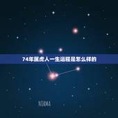74年属虎人一生运程是怎么样的，74年属虎人今年运程