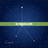 谁会保护双子座一辈子(寻找永恒的守护者)