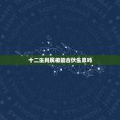 十二生肖属相能合伙生意吗，十二生肖虎和猪可以合作做生意吗