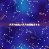 男属狗的和女属虎的属相合不合，属狗与属虎相配吗