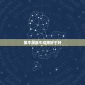 属牛跟属牛结婚好不好，属牛跟属兔婚姻配吗