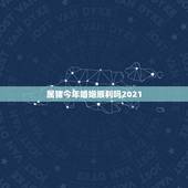 属猪今年婚姻顺利吗2021，属猪今年运势2021年运势