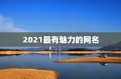 2021最有魅力的网名，2021最火的新网名有哪些？