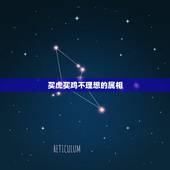 买虎买鸡不理想的属相，买虎作胆蛇开头生肖