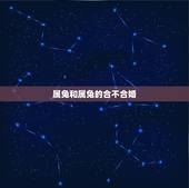 属兔和属兔的合不合婚，属兔的和什么属相最配