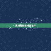 属相兔和猪婚配怎样，猪与兔婚配好吗