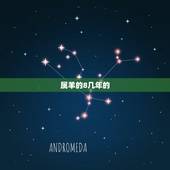 属羊的8几年的，91属羊的男人几月好