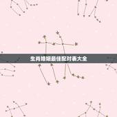生肖婚姻最佳配对表大全，属蛇的和什么属相最配 揭秘最佳婚配表