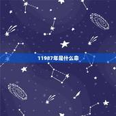 11987年是什么命，1987年属兔是什么命