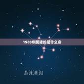 1983年属猪的是什么命，1983属猪的40岁有一难