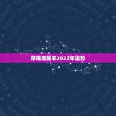 摩羯座属羊2022年运势，属羊的B型血的摩羯座今年运势如何？