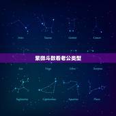 紫微斗数看老公类型，紫微斗数看老公宠你