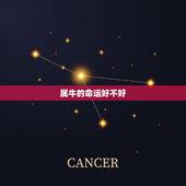 属牛的命运好不好，属牛的人命不好为啥？