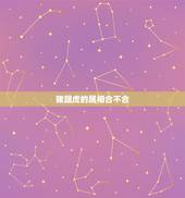 猪跟虎的属相合不合，生肖老虎配猪合不合