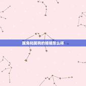 属兔和属狗的婚姻怎么样，属牛和属狗的人合财吗
