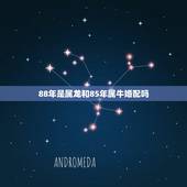88年是属龙和85年属牛婚配吗，1985年属牛的女的跟1988年属龙的