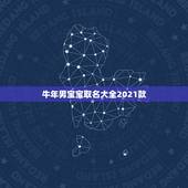 牛年男宝宝取名大全2021款，2021牛宝宝取名宜用字