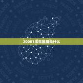 20001出生属相是什么，20001月1日晚上3点半出生的是属什么？