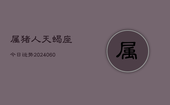 属猪人天蝎座今日运势(20240605)
