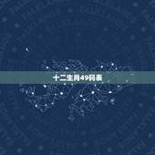 十二生肖49码表，香港12生肖49数字图