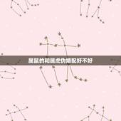 属鼠的和属虎伪婚配好不好，属鼠的生肖和属虎的生肖相配吗？
