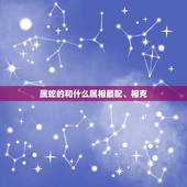 属蛇的和什么属相最配、相克，结婚属蛇的和什么属相相配相克