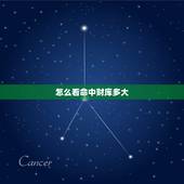 怎么看命中财库多大，四柱预测里的“财库”是什么，怎么看