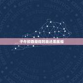 子午卯酉是指时辰还是属相，有谁知道“子午抽添，卯酉沐浴”分别是指什么时