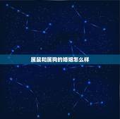 属鼠和属狗的婚姻怎么样，男属鼠女属狗的财运