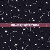 属鼠人到底什么时候才有财运，属鼠的人财运好吗