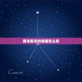 属羊配羊的婚姻怎么样，属羊婚配属相