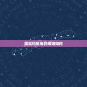 属鼠和属兔的婚姻如何，属鼠的要和属兔的结婚