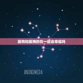 属狗和属狗的在一起会幸福吗，82属狗女40岁大劫