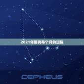 2021年属狗每个月的运程，属狗的人2021年运势及每月运程怎么样化解