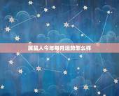 属鼠人今年每月运势怎么样，你好，我想查查2016年属鼠人运势、属牛人今