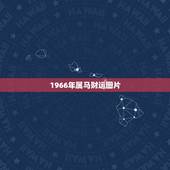 1966年属马财运图片，属马的最怕的三个生肖