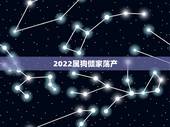 2022属狗倾家荡产，狂60万买倾家荡产