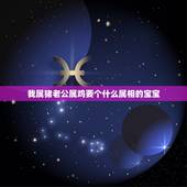 我属猪老公属鸡要个什么属相的宝宝，93的9月份的男鸡和95年的10月份
