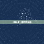 2022年11金牛座运势，金牛座2024年运势详解
