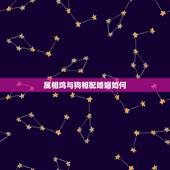 属相鸡与狗相配婚姻如何，鸡和狗的姻缘怎么样