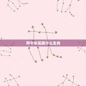 丙午年是属什么生肖，大清丙午年是哪一年