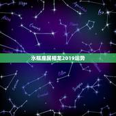 水瓶座属相龙2019运势，属龙的水瓶座的命运和性格如何