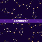 属鸡的婚配好不好，93鸡和94狗怎么破解