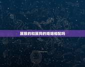属猴的和属狗的婚姻相配吗，属猴和鸡相配婚姻如何