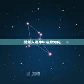 属兔人逢牛年运势如何，属马的2022 年运势如何