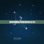 属猴和属猪女婚配属相合不合，猪与猴属相合不合