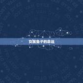 女属兔子的命运，属兔子的出生年份
