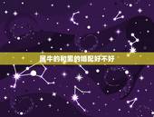 属牛的和男的婚配好不好，属牛和什么属相相配合适和不合适