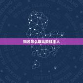 狗名怎么取比较旺主人，黑色的狗取什么名字最旺主人