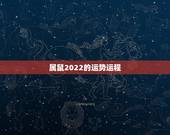 属鼠2022的运势运程，属鼠2022年运势及运程